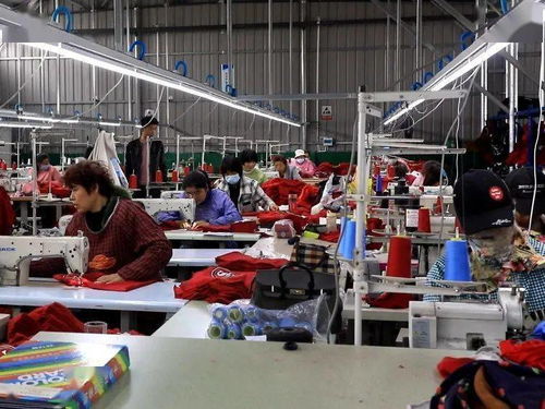 返鄉創業 產品出口歐美,年銷售額超過300萬元,葉邑鎮這家企業咋做到的