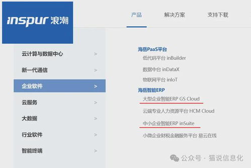 簡(jiǎn)單談?wù)別rp軟件的替代